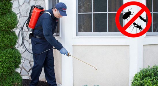 Bahşili Bit İlaçlama böcek ilaçlama ve haşere kontrolü — ilaclama-tr.com